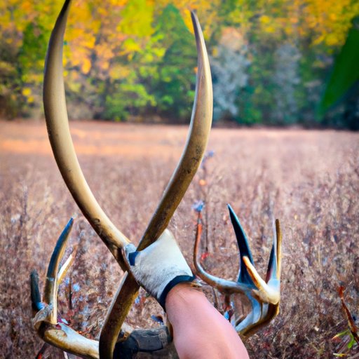 A Guide to Hunting Season in NC: What You Need to Know
