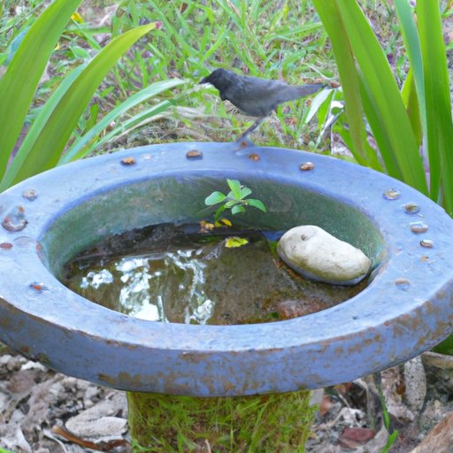 How to Create a Mississippi Bird Bath in Your Garden