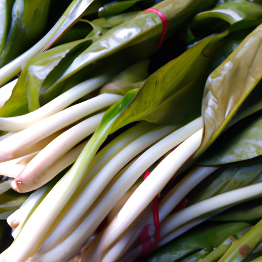 The Health Benefits of Eating Ramps