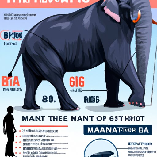 A Guide to the Biggest Animal in the World