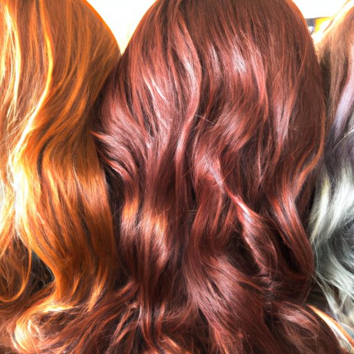 A Look at My Hair Color: Exploring the Variety of Shades That Make Up My Manes
