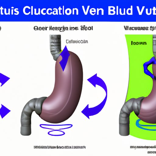 An Overview of Stomach Vacuuming and its Effects on Abdominal Muscles