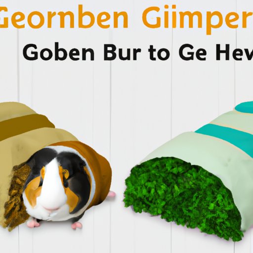 How to Choose the Best Bedding for Your Guinea Pig