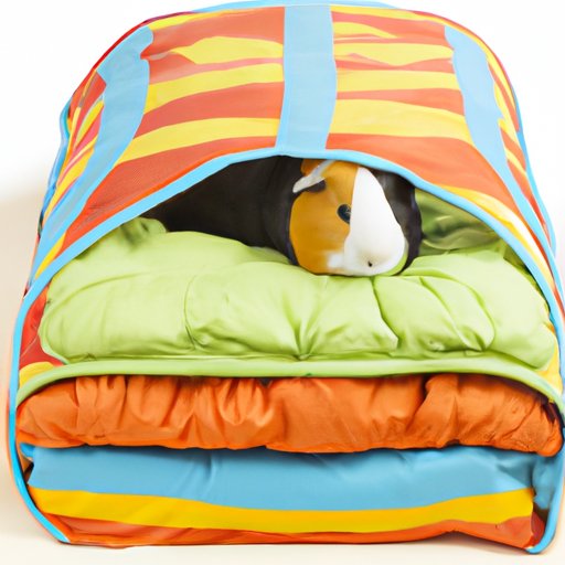 Review of Popular Guinea Pig Bedding Products