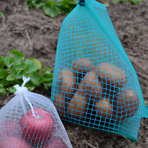 Keeping Potatoes Away from Apples