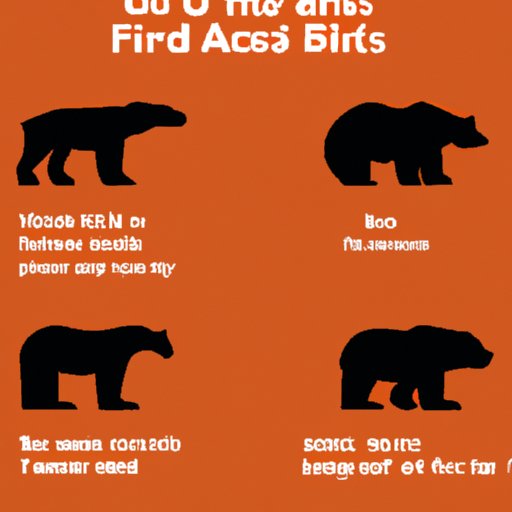Description of the Top 5 Biggest Bears