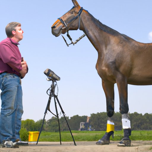 Interview with Owner of Biggest Horse