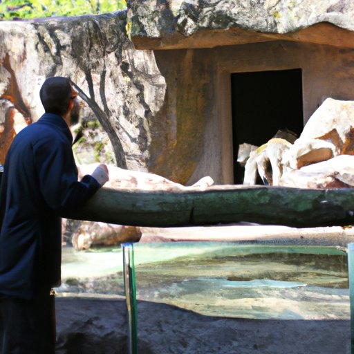 An Interview with a Zookeeper at the Biggest Zoo in the World