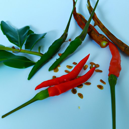 Overview of the Health Benefits of Eating Spicy Food