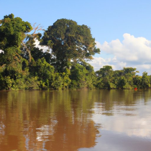 An Overview of the Environmental and Cultural Impact of the Amazon Rainforest