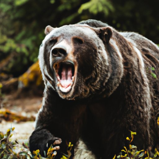 Understanding the Nature of the Most Aggressive Bear Species