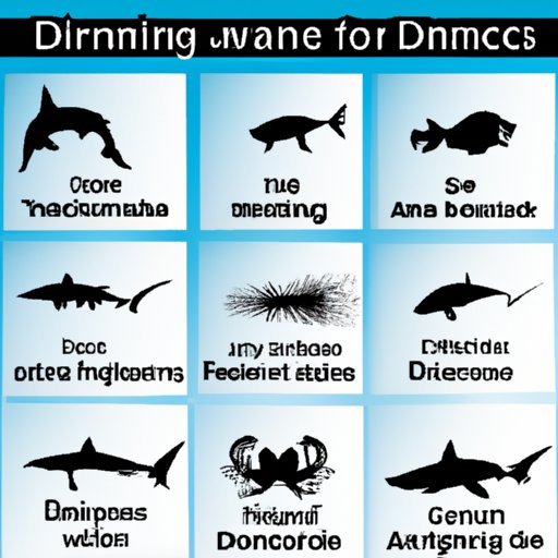 A Comprehensive Guide to the Most Dangerous Animals in the Ocean