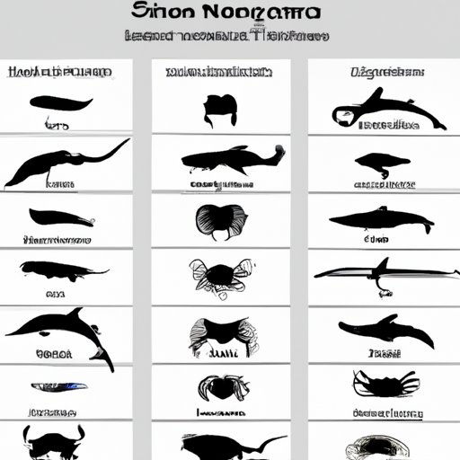 A Comparison of the Most Dangerous Animals in Different Oceans