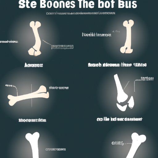 Overview of Most Painful Bones to Break 