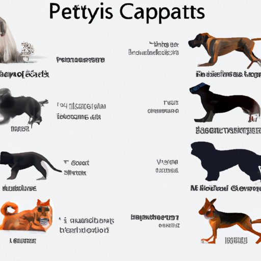 Comparing Popular Pets Around the World