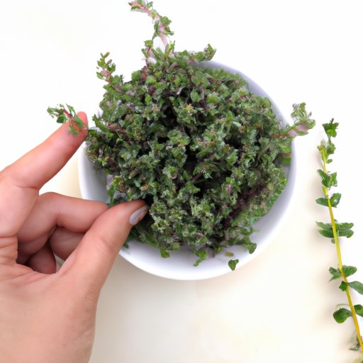 Exploring the Benefits of Thyme in Cooking: A Comprehensive Guide