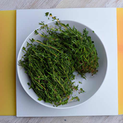 How to Incorporate Thyme into Your Favorite Recipes for Healthier Meals