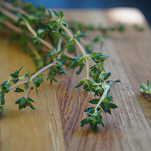 Exploring the Many Uses of Thyme in Cooking