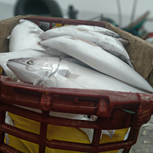 Exploring the Economic Benefits of White Fishing