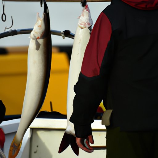 Investigating the Politics and Regulations Around White Fishing