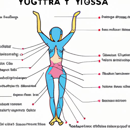Anatomy of Yoga: Exploring What Muscles Does Yoga Work