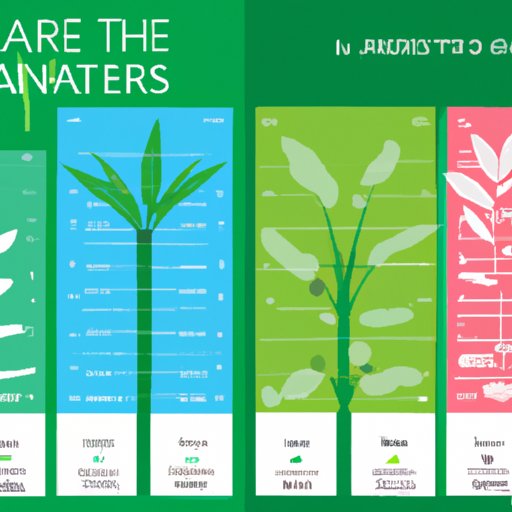 A Comparison of Plants That Produce the Most Oxygen
