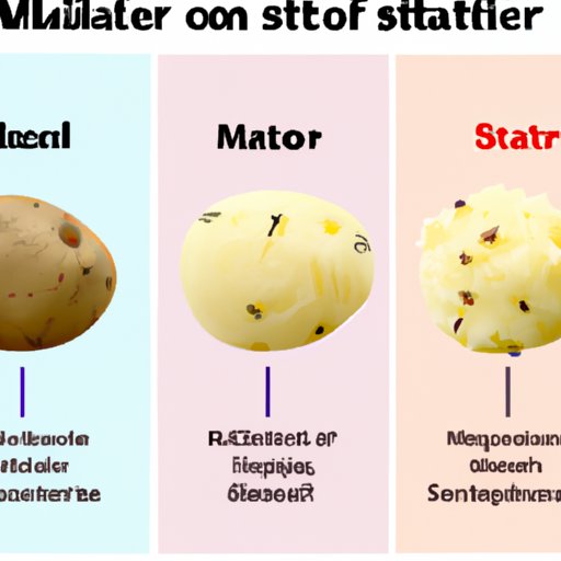 An Analysis of Which Type of Potato Produces the Most Flavorful Mashed Potatoes