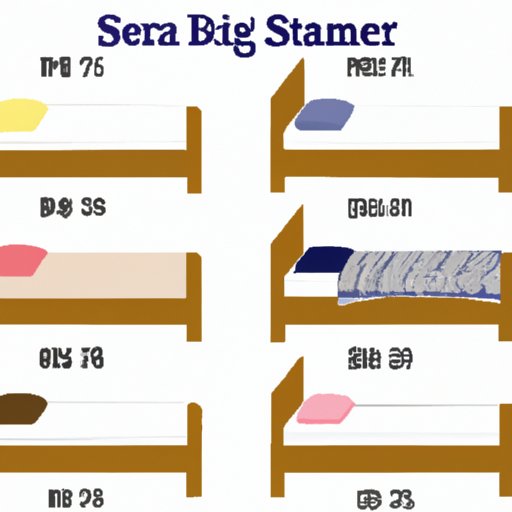Comparative Analysis of Dorm Bed Sizes