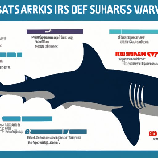 Infographic Outlining Characteristics of Most Dangerous Shark