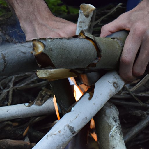 Gather Firewood and Build a Campfire
