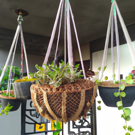 Benefits of Hanging Plant Baskets