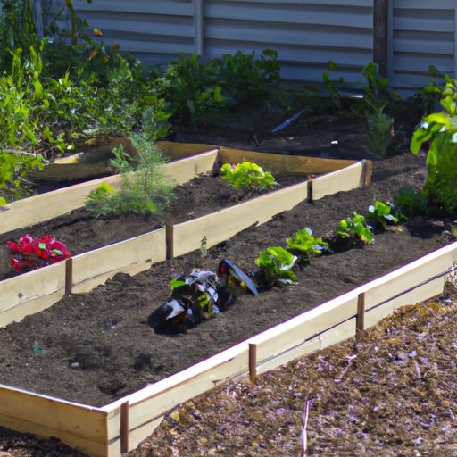 Tips and Tricks for Growing a Successful Raised Garden Bed