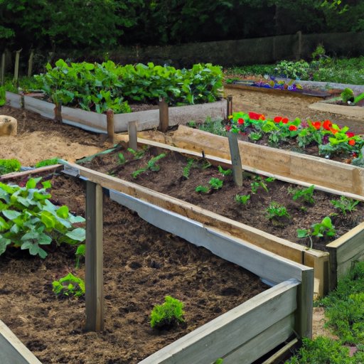 Overview of the Challenges of Planting in Raised Garden Beds