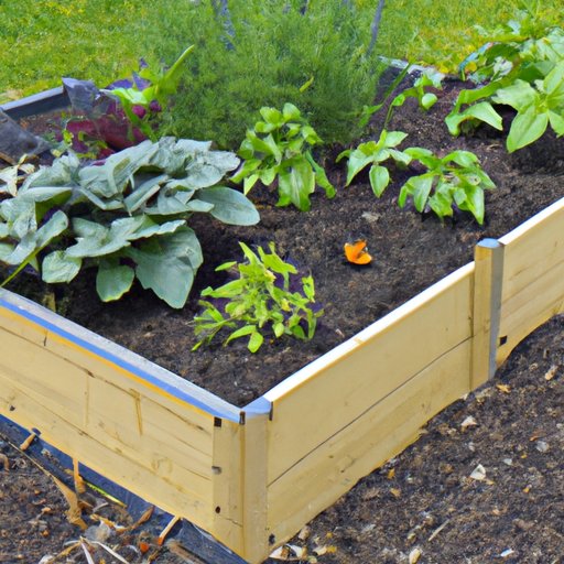 How to Incorporate Companion Planting into Your Raised Garden Bed