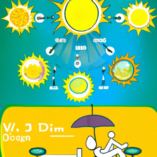 Understanding the Role of Vitamin D in the Human Body