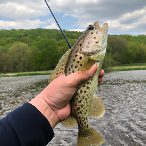 A Guide to the Best Fishing Spots in Pennsylvania