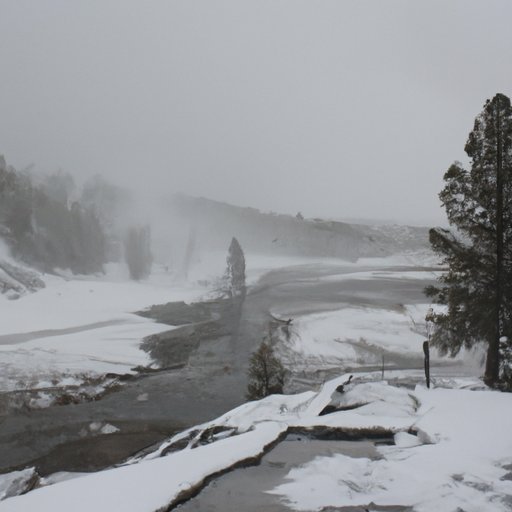 A Look at the Pros and Cons of Visiting Yellowstone During Different Seasons