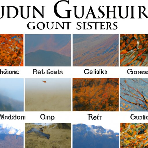 A Comprehensive Guide to Hunting Seasons in Georgia