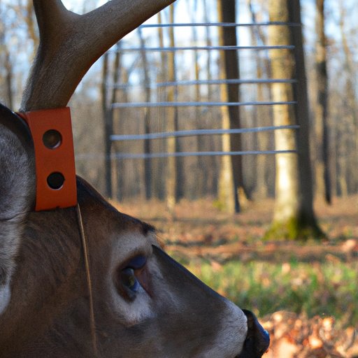 Examining the Economic Impact of Hunting in Ohio