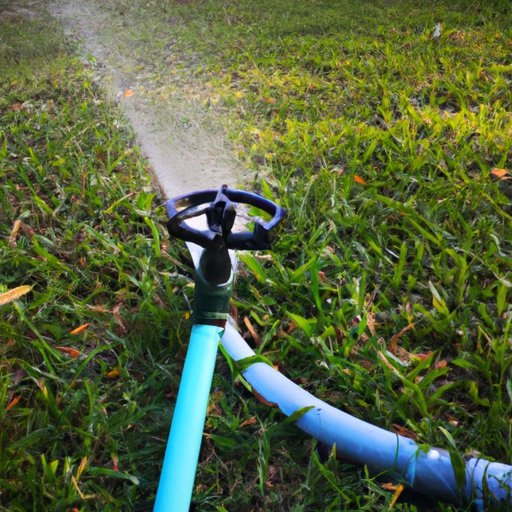 The Science Behind When to Water the Lawn