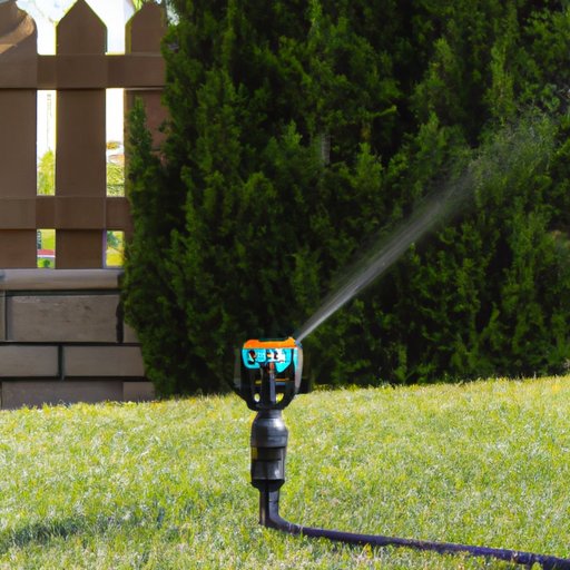 Optimizing Your Watering Routine for a Healthy Lawn