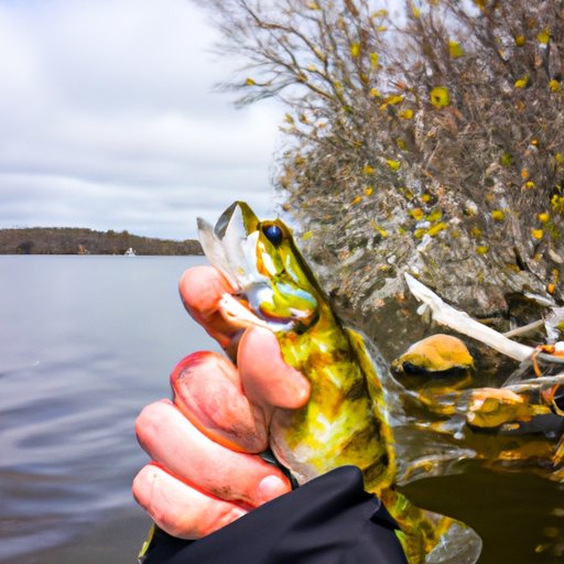 Tips and Tricks for a Successful Minnesota Fishing Opener