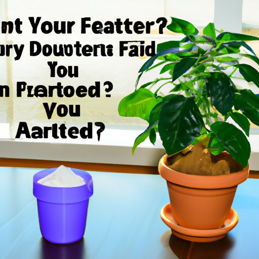 How to Tell When Your Indoor Plant Needs Fertilizer