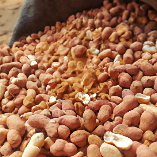Examining the Impact of Peanut Exports on Local Economies