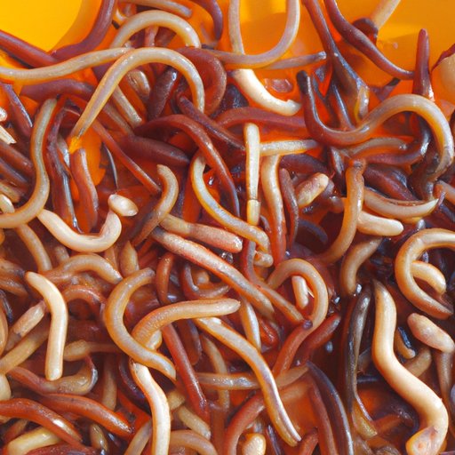 Tips for Buying Quality Fishing Worms Locally