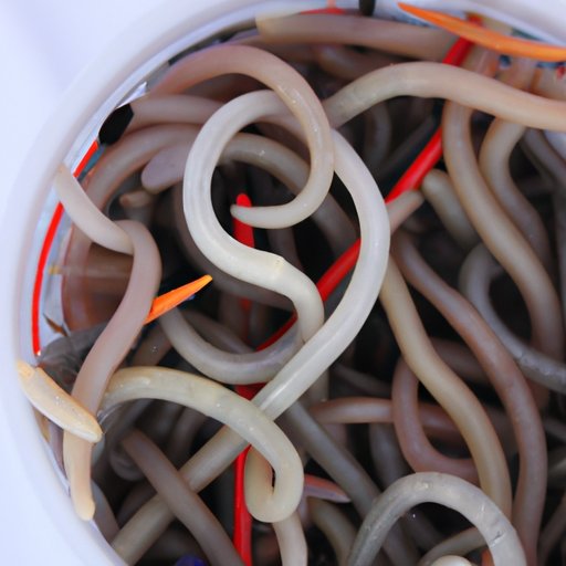 The Benefits of Using Live or Frozen Fishing Worms