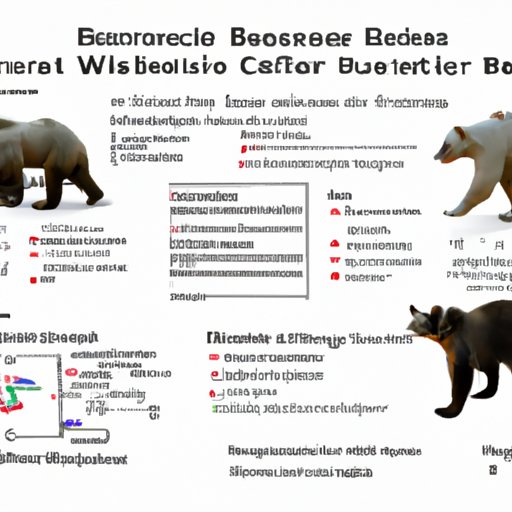 Analyzing the Potential Dangers of Encountering Each Bear Species