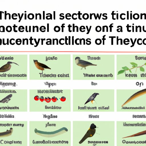 What You Need to Know About Taxonomic Levels and Species Richness