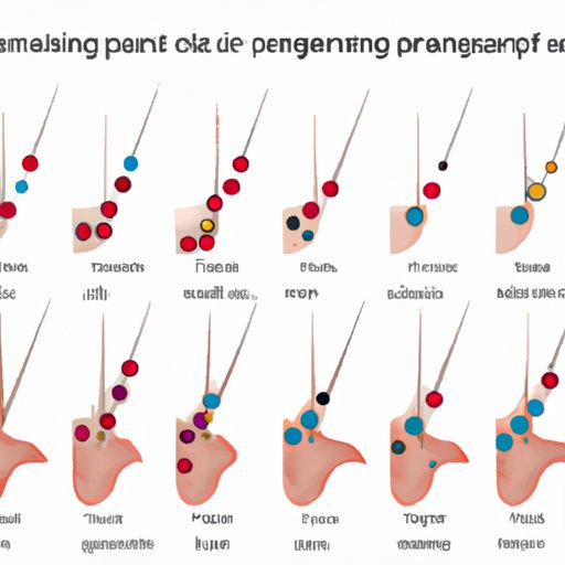 Comparative Analysis of Different Piercings Based on Individual Reports of Pain Levels