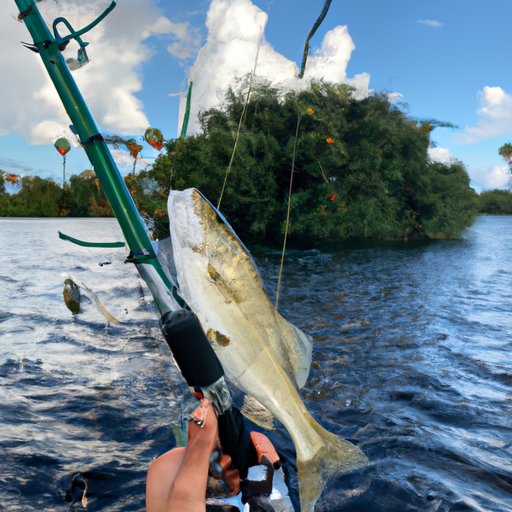 The Lowdown on Who Can Fish for Free in Florida